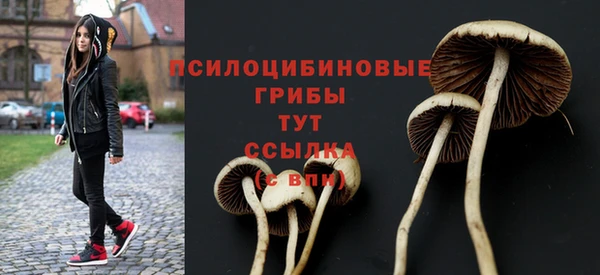 MESCALINE Беломорск