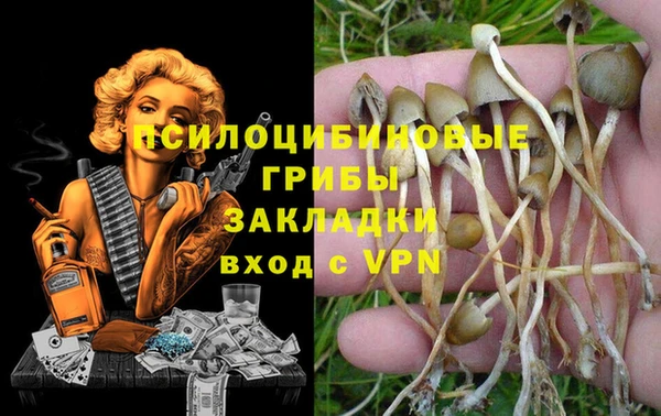 спайс Приозерск
