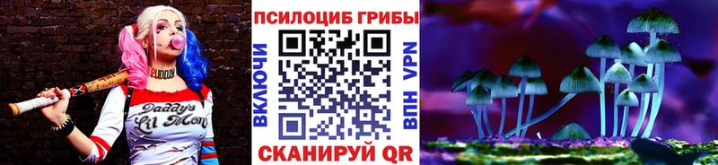 Псилоцибиновые грибы GOLDEN TEACHER  ссылка на мегу сайт  Черемхово 